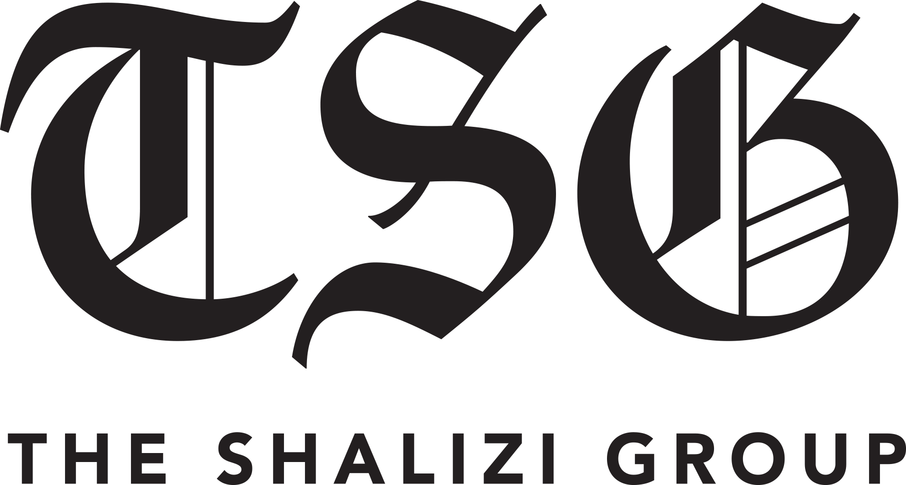 Shalizi Group
